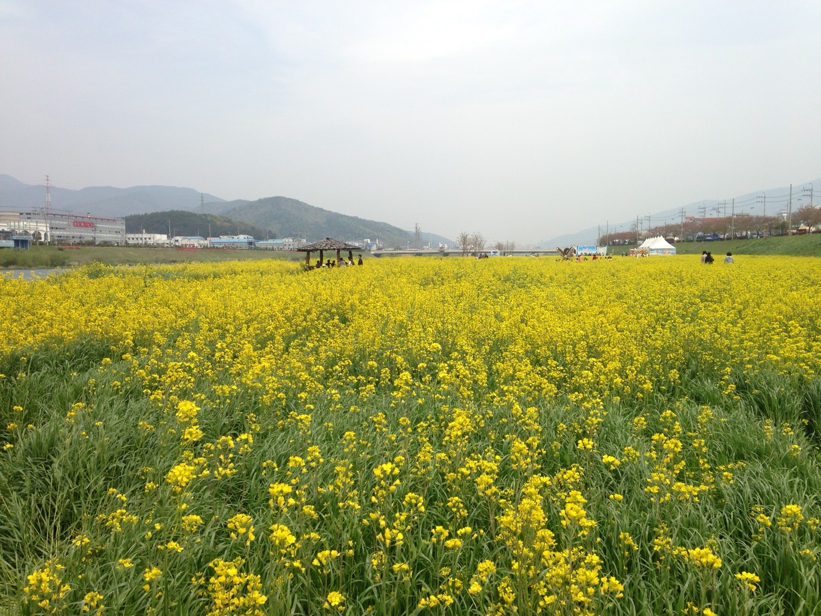 photo 2.JPG 첨부 이미지