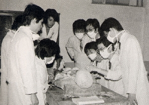 치대 1기 수업, 실습