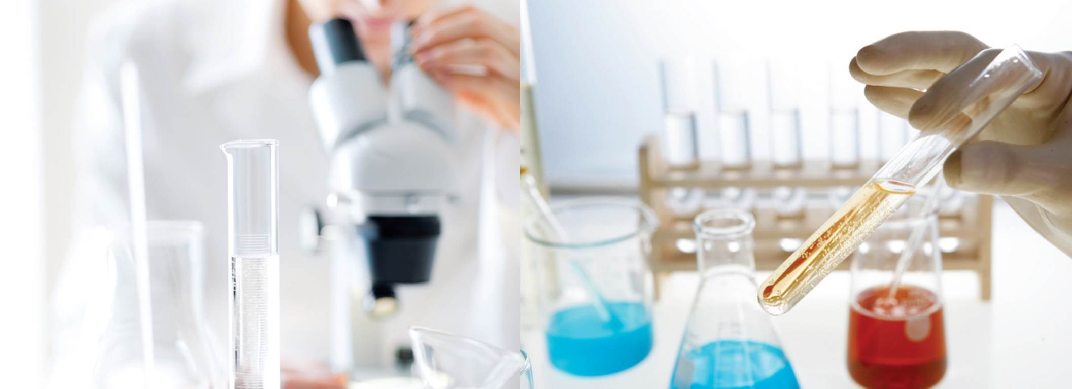 치의학 석사과정